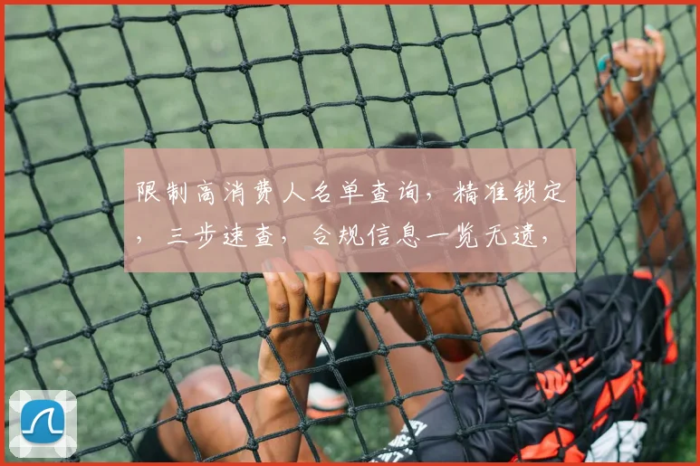 限制高消费人名单查询，精准锁定，三步速查，合规信息一览无遗，债务清零，轻松应对。