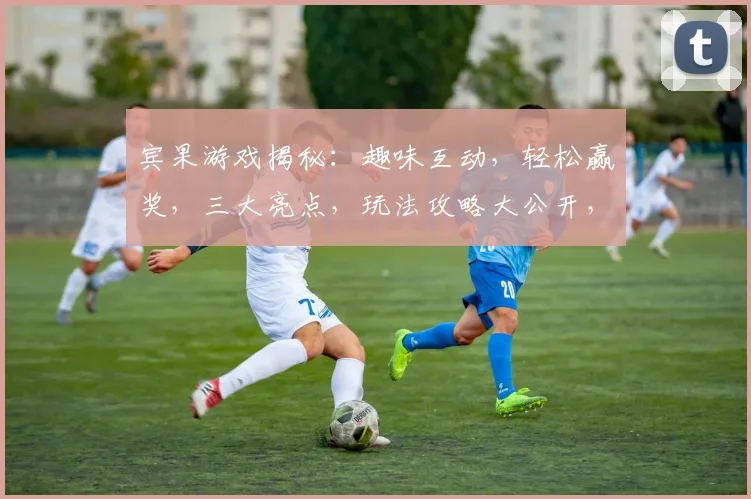 宾果游戏揭秘：趣味互动，轻松赢奖，三大亮点，玩法攻略大公开，不容错过
