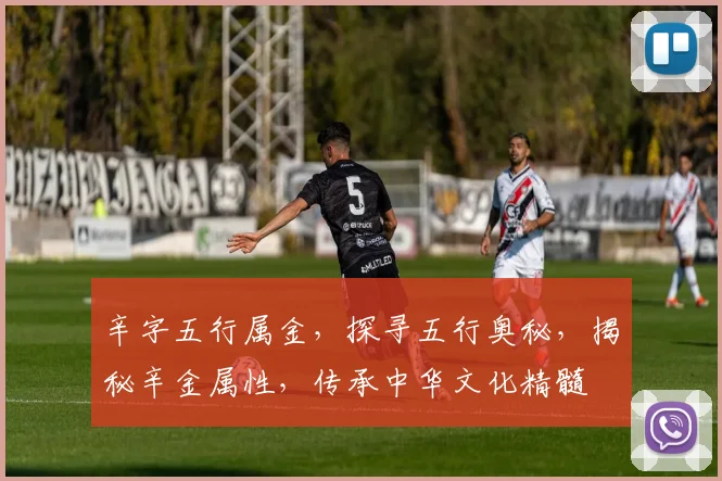 辛字五行属金，探寻五行奥秘，揭秘辛金属性，传承中华文化精髓