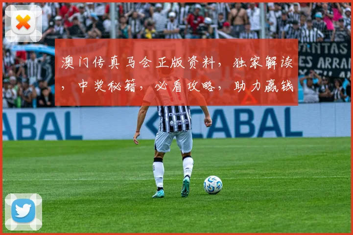 澳门传真马会正版资料，独家解读，中奖秘籍，必看攻略，助力赢钱