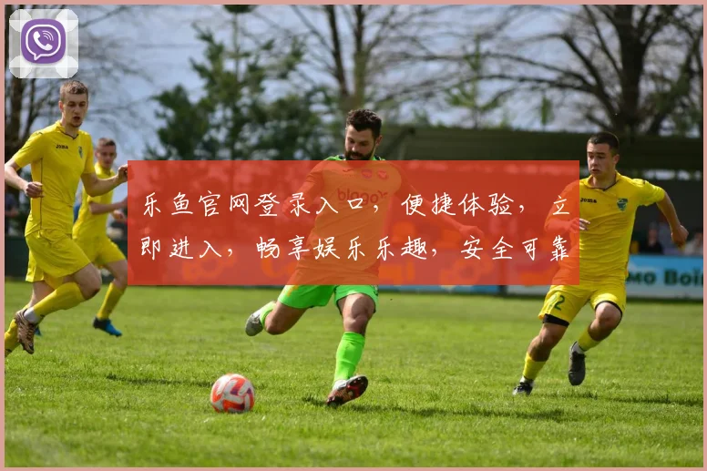 乐鱼官网登录入口，便捷体验，立即进入，畅享娱乐乐趣，安全可靠两不误